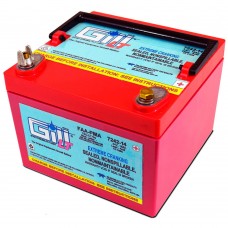 Gill 7242-14 LT Sealed Lead Acid Battery